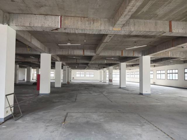 龜山廠房-1