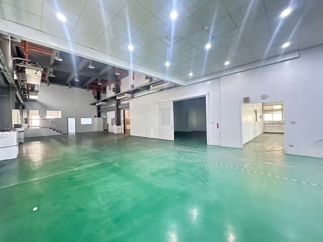 新竹新豐廠房-1