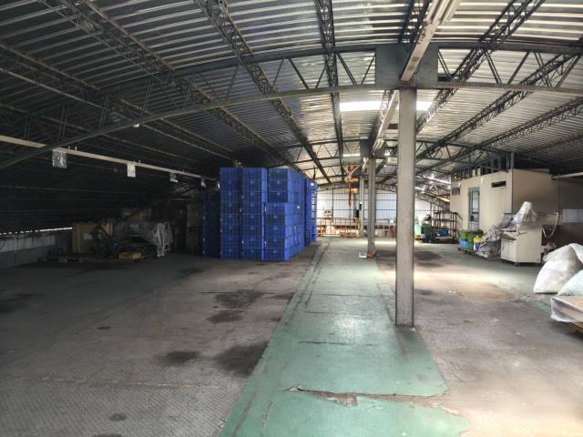 楊梅廠房-1