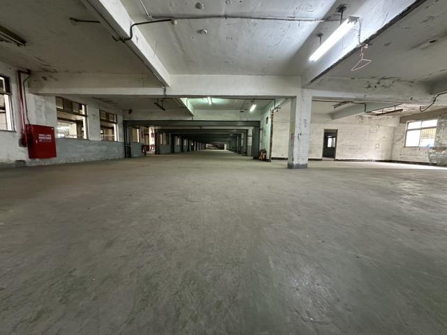 新北五股廠房-3