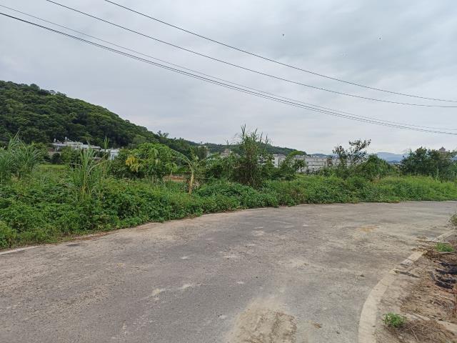 桃園農地-0