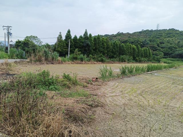 桃園農地-1
