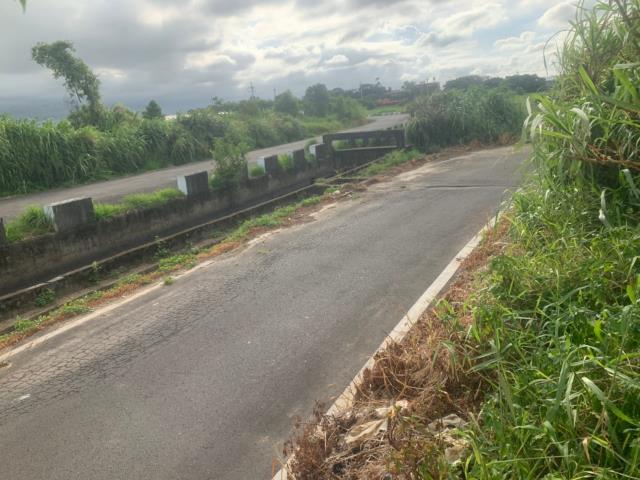蘆竹工業地-1